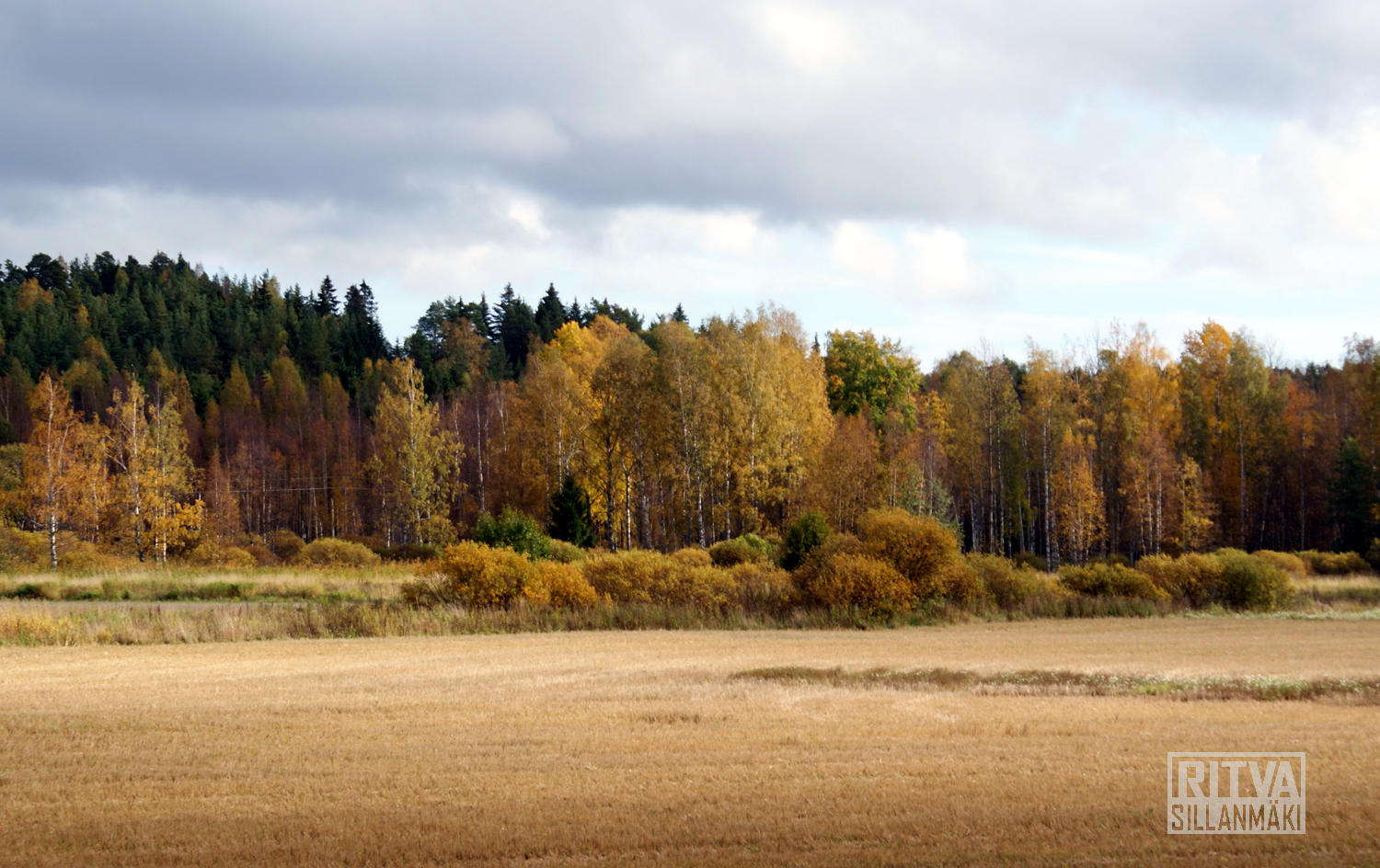 Scenery from Kolsari Finland with Autumn colors/ Ruska – Ritva's Art