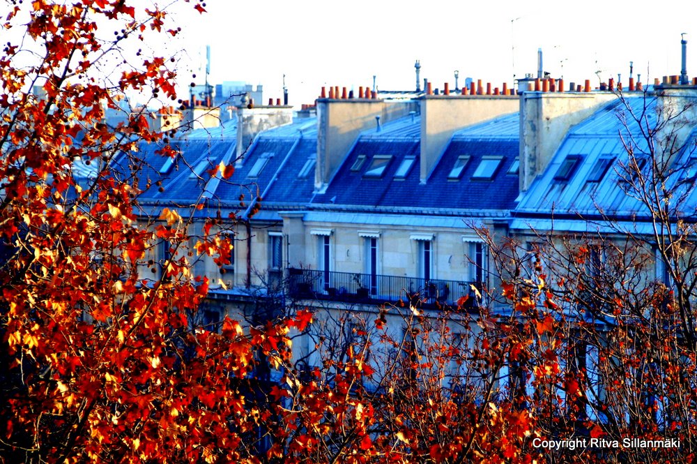Paris roof top
